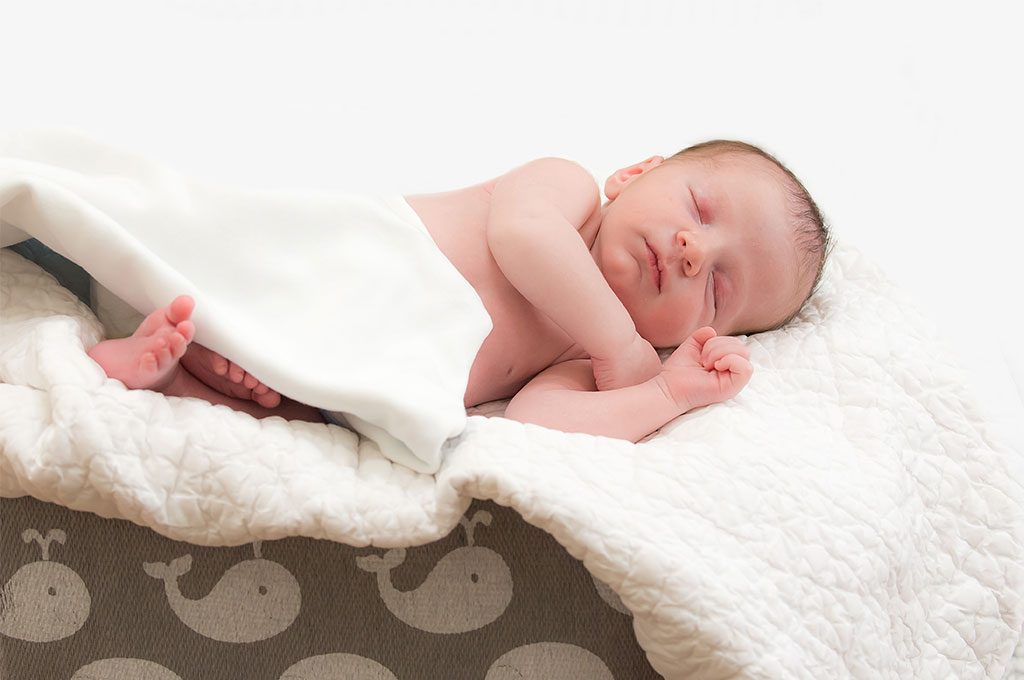 Newborn Portraits