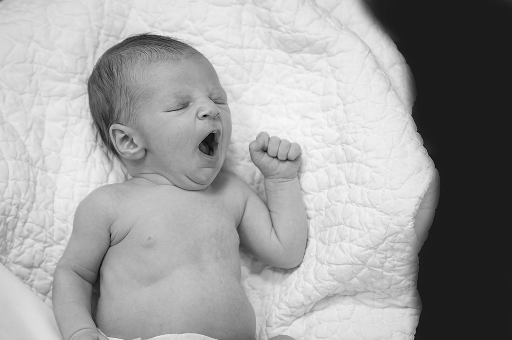Newborn Portraits