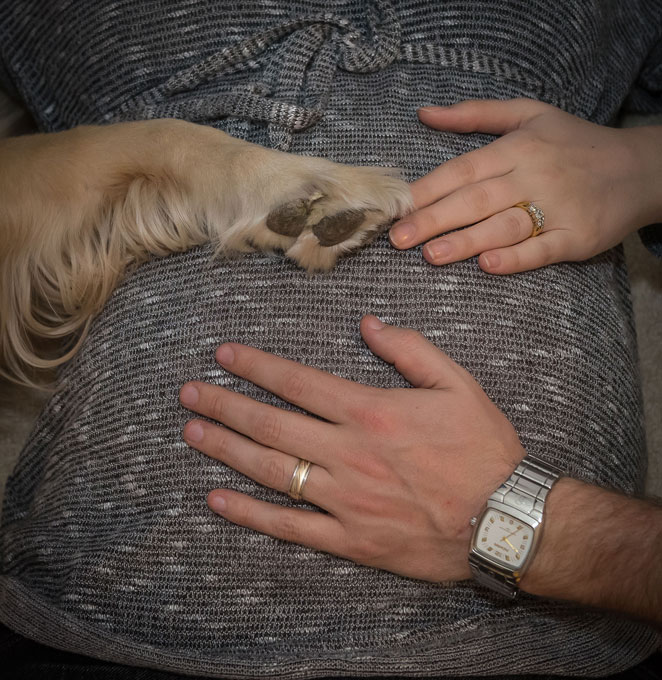 Maternity Portraits