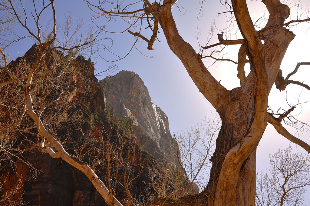 Landscape Photography
