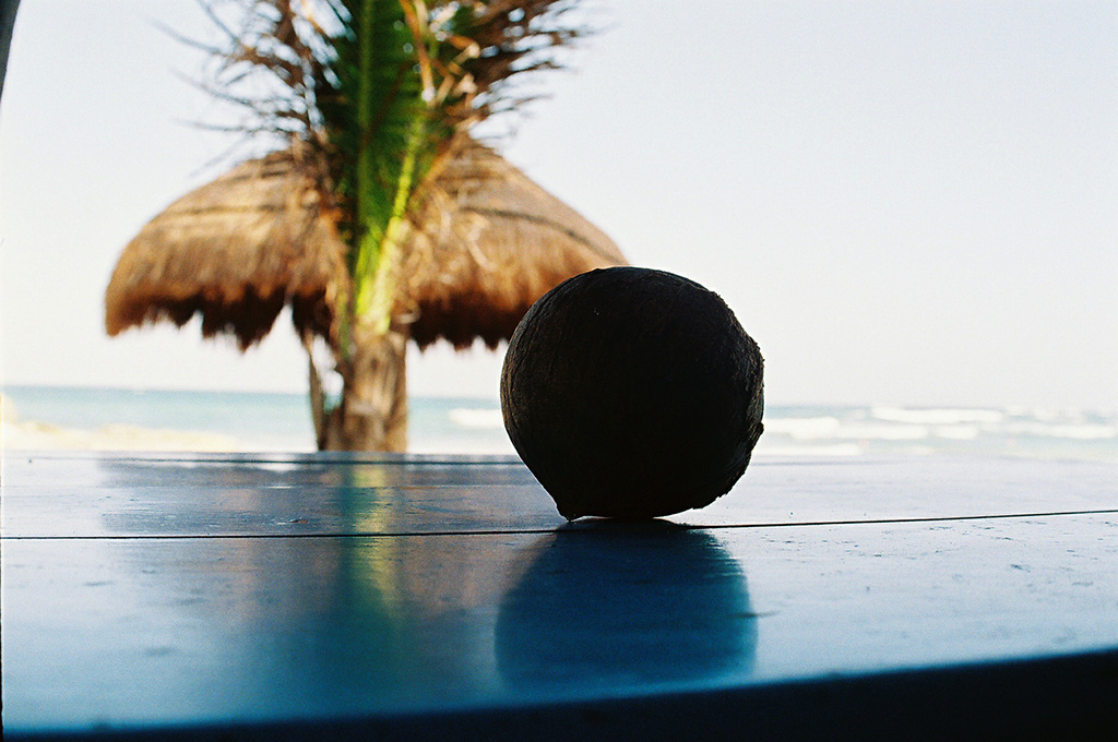 Still Life Photography